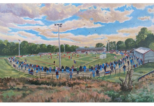 Pilots Field Stadium Fine Art Print - Hastings United FC Pilots Field Stadium Fine Art Print - Hastings United FC
